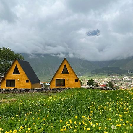 Pine Chalet Kazbegi Exterior foto