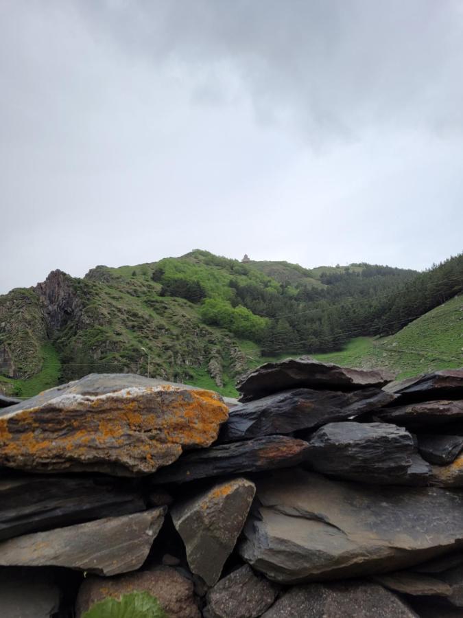 Pine Chalet Kazbegi Exterior foto