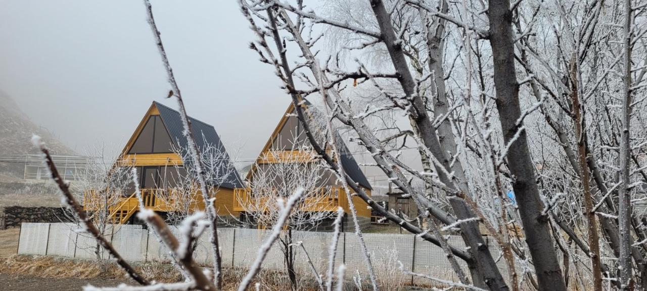 Pine Chalet Kazbegi Exterior foto