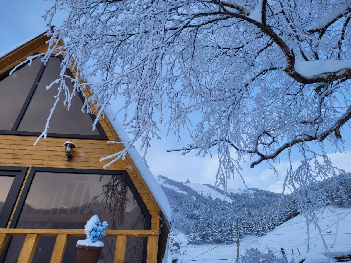 Pine Chalet Kazbegi Exterior foto