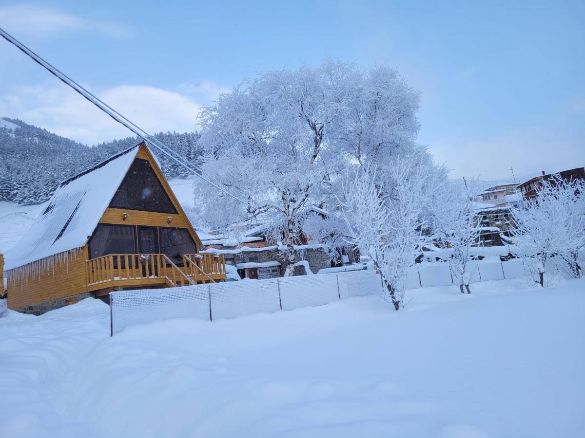 Pine Chalet Kazbegi Exterior foto