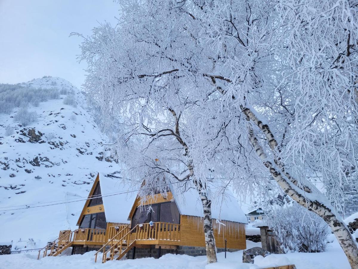 Pine Chalet Kazbegi Exterior foto