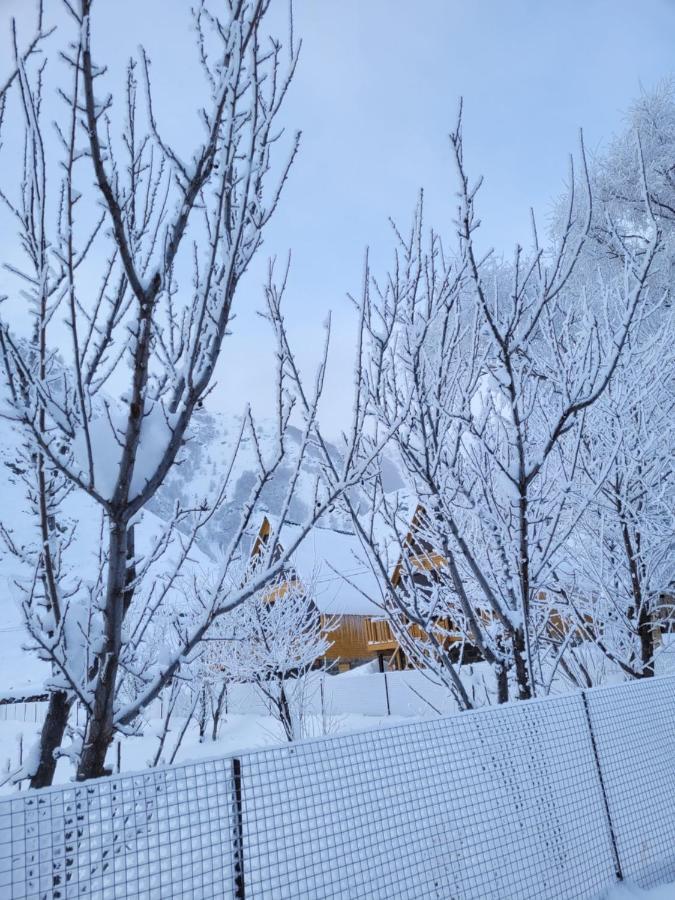 Pine Chalet Kazbegi Exterior foto