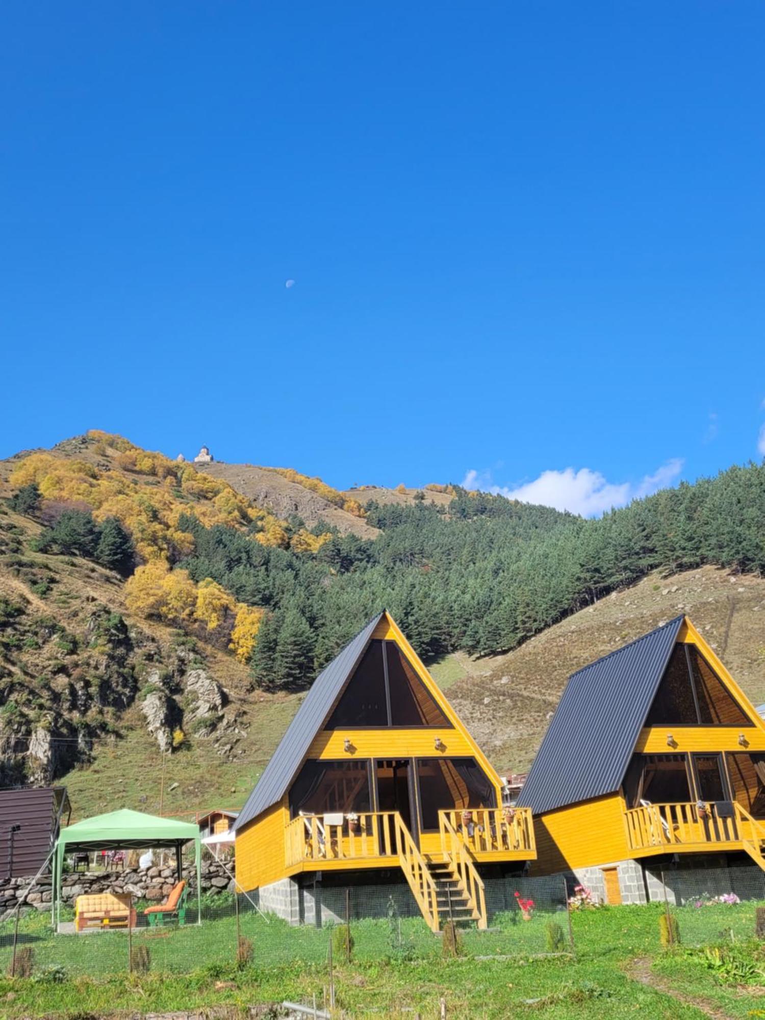 Pine Chalet Kazbegi Exterior foto